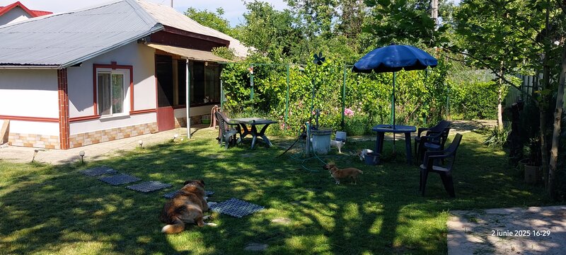 Gorneni, pe DN6/E70 1.600 mp, casa la sosea langa Bucuresti